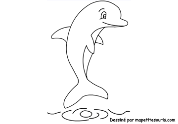 dolphin coloring