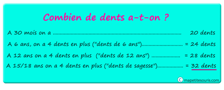 nombre de dents