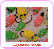 souris noix de coco