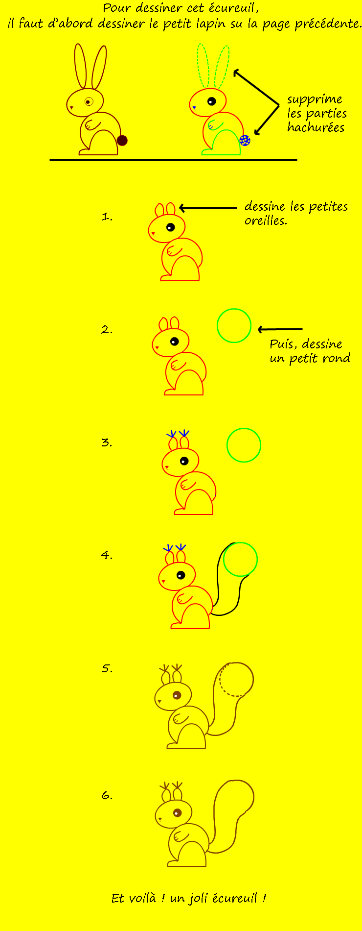 apprendre à dessiner un écureuil