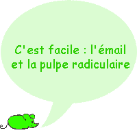 Quelles sont les parties de la couronne de la dent ?