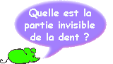 Quelle est la partie invisible de la dent ?
