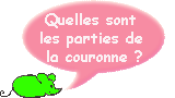 Quelles sont les parties de la couronne ?