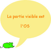 la partie visible de la dent est l'émail