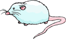 gif de souris
