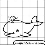 apprendre à dessiner une baleine