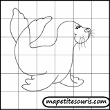 apprendre à dessiner un phoque avec un quadrillage