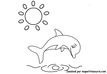 dolphin coloring