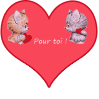 étiquette saint valeint chats